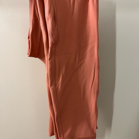 Lululemon Align 25” Pink Savannah size 2 *sold out* - Picture 4 of 4
